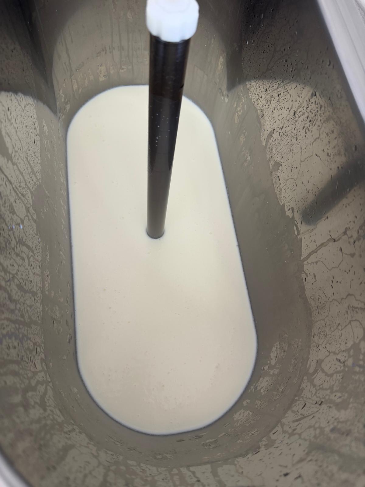 Eismix im Edelstahlbehälter der Eismaschine